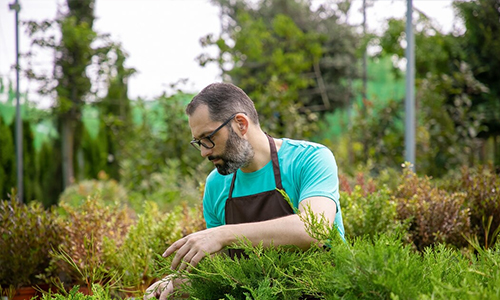 Feed Your Plants Gently