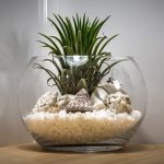How-to-Make-a-Terrarium