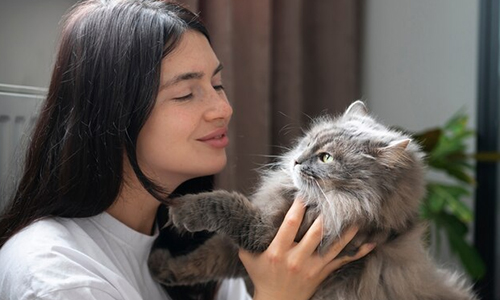 Cat-Scratch-Disease