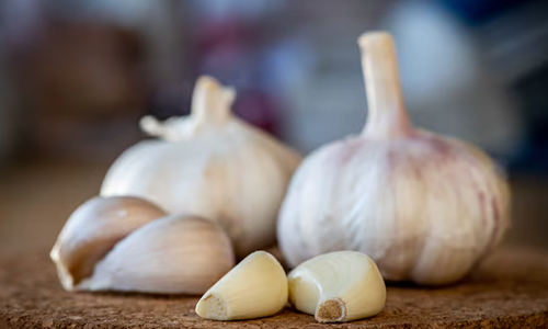 Alliums