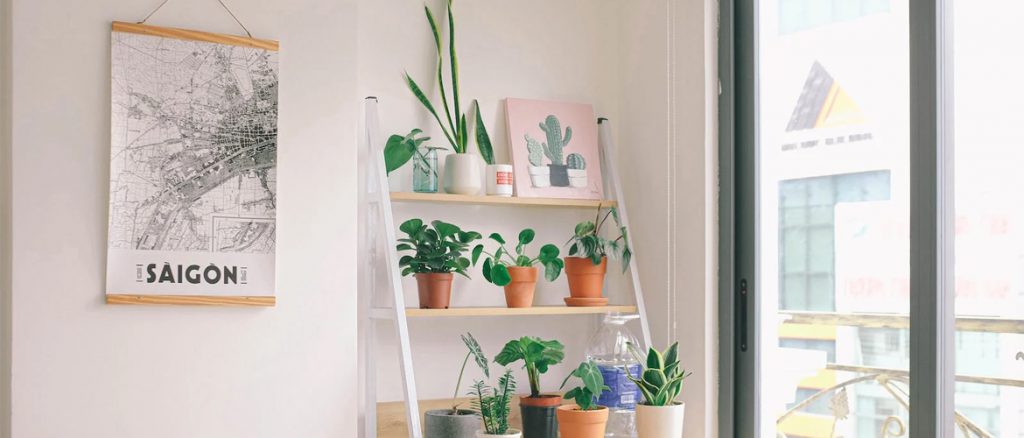 Effective ways to bring nature into your home