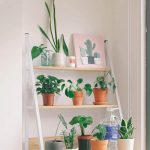Effective ways to bring nature into your home