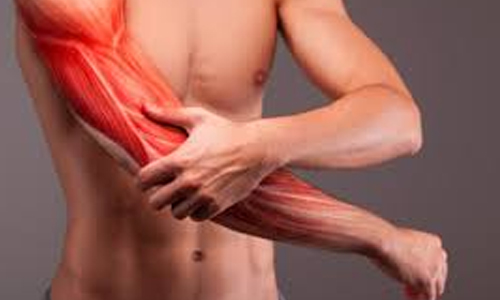 Muscle-Recovery