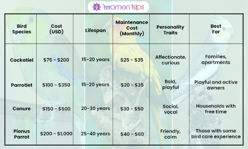 Best Pet Birds for Medium-Level Experience