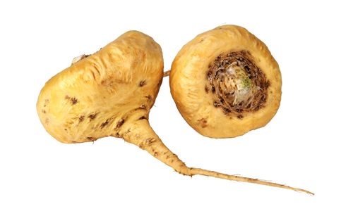 Maca-Root